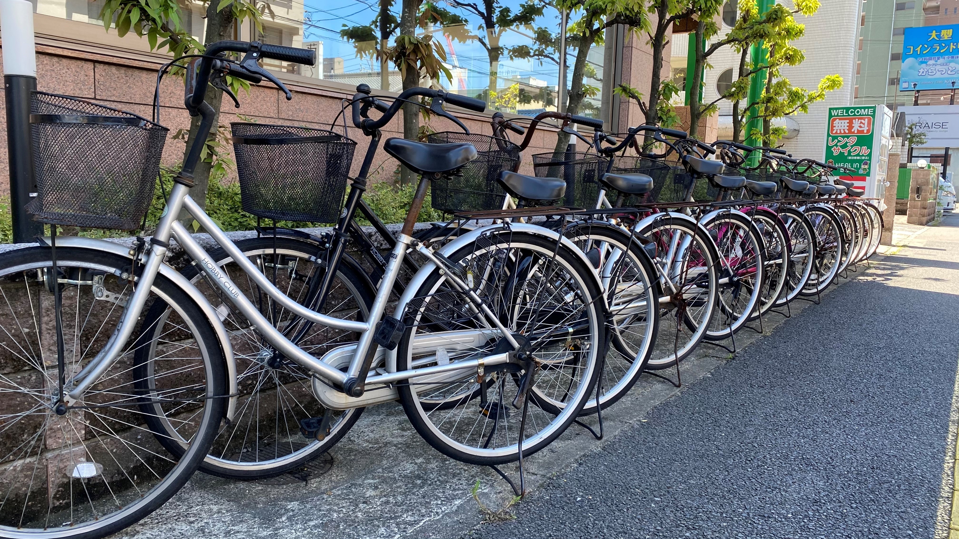 Free bicycle rental