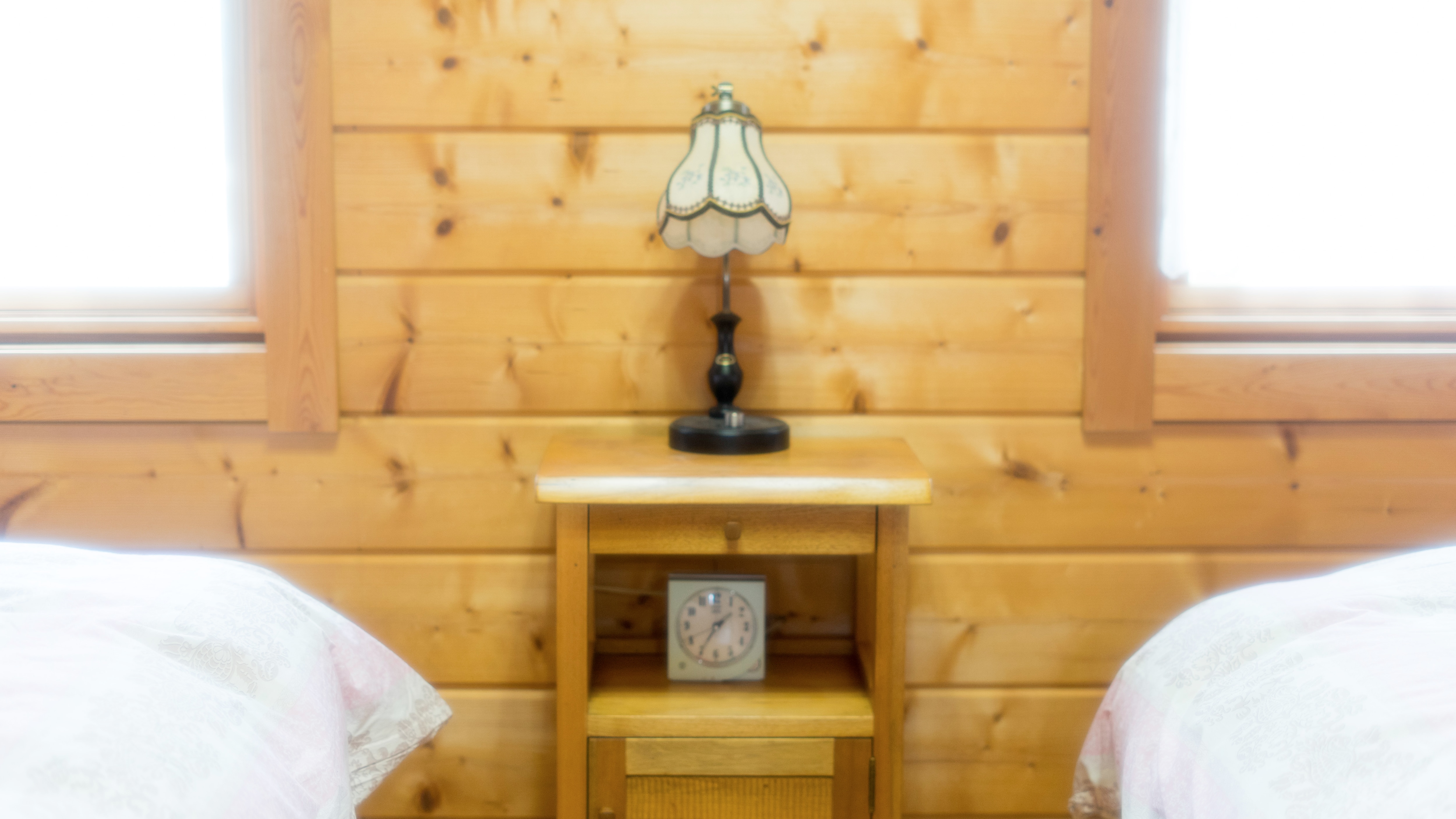 Rental log cabin