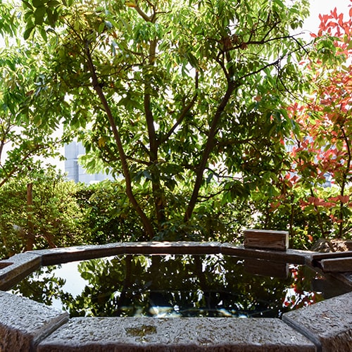 * [Pemandian terbuka / Superior Sakura] Nikmati mandi di taman kecil yang terawat baik.