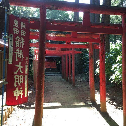 The red torii shines