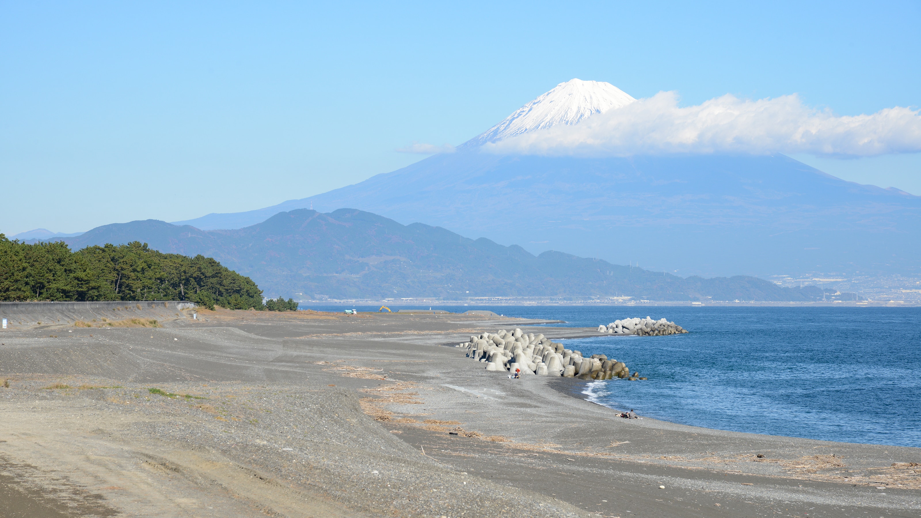 ** [周圍/鐮崎]可以看到松樹和富士山的拍攝地點/從酒店沿著人行道步行10分鐘