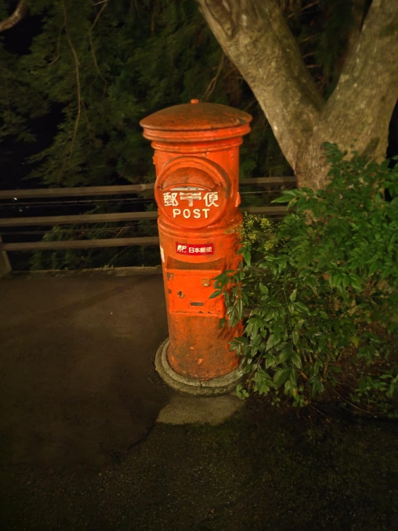 3703.jpg