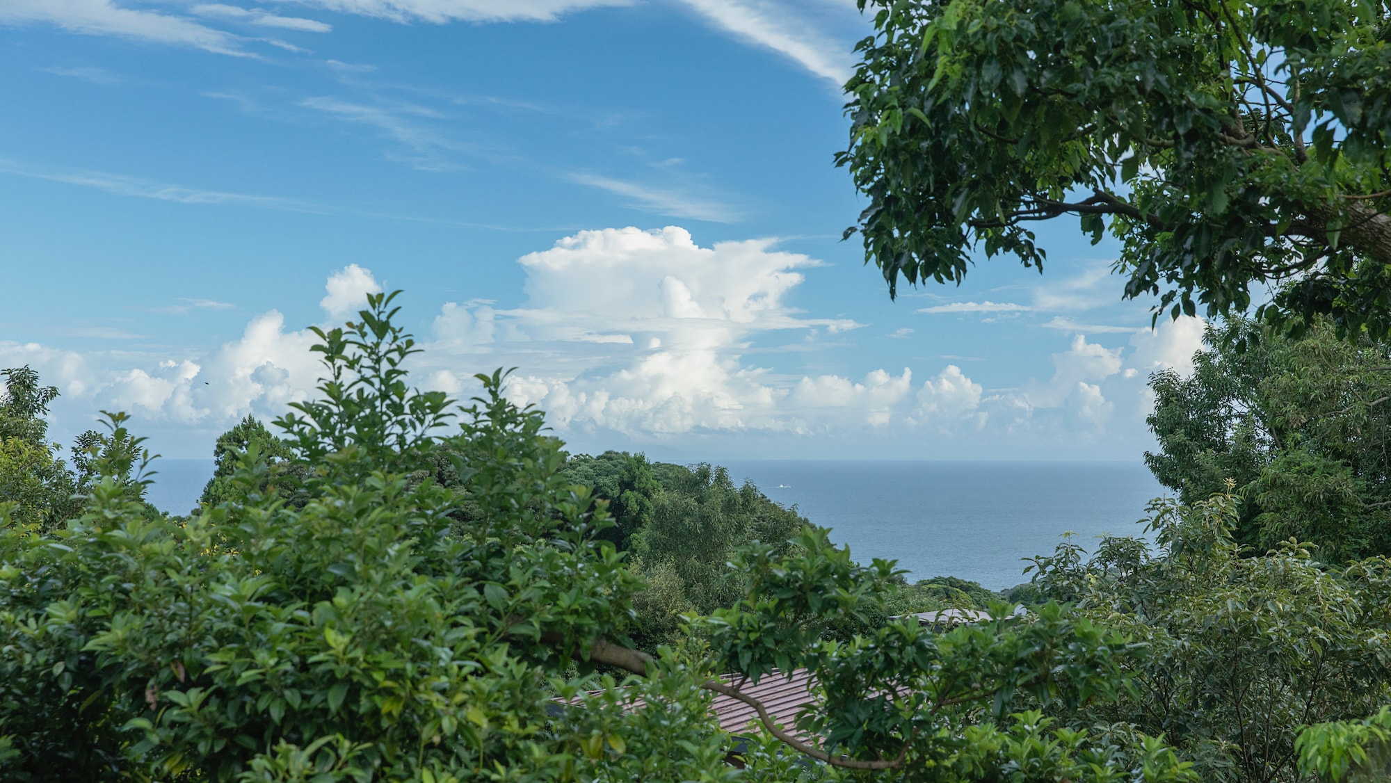 Ocean view from the living room