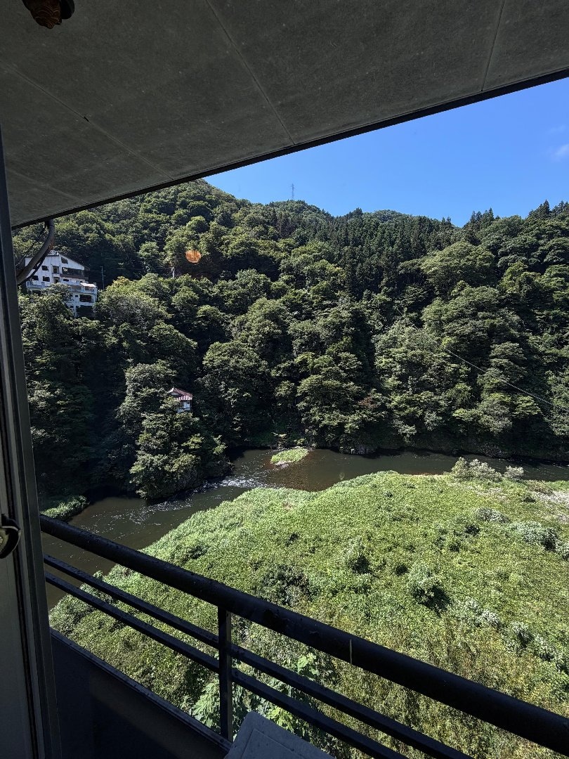 IMG_2399.jpeg