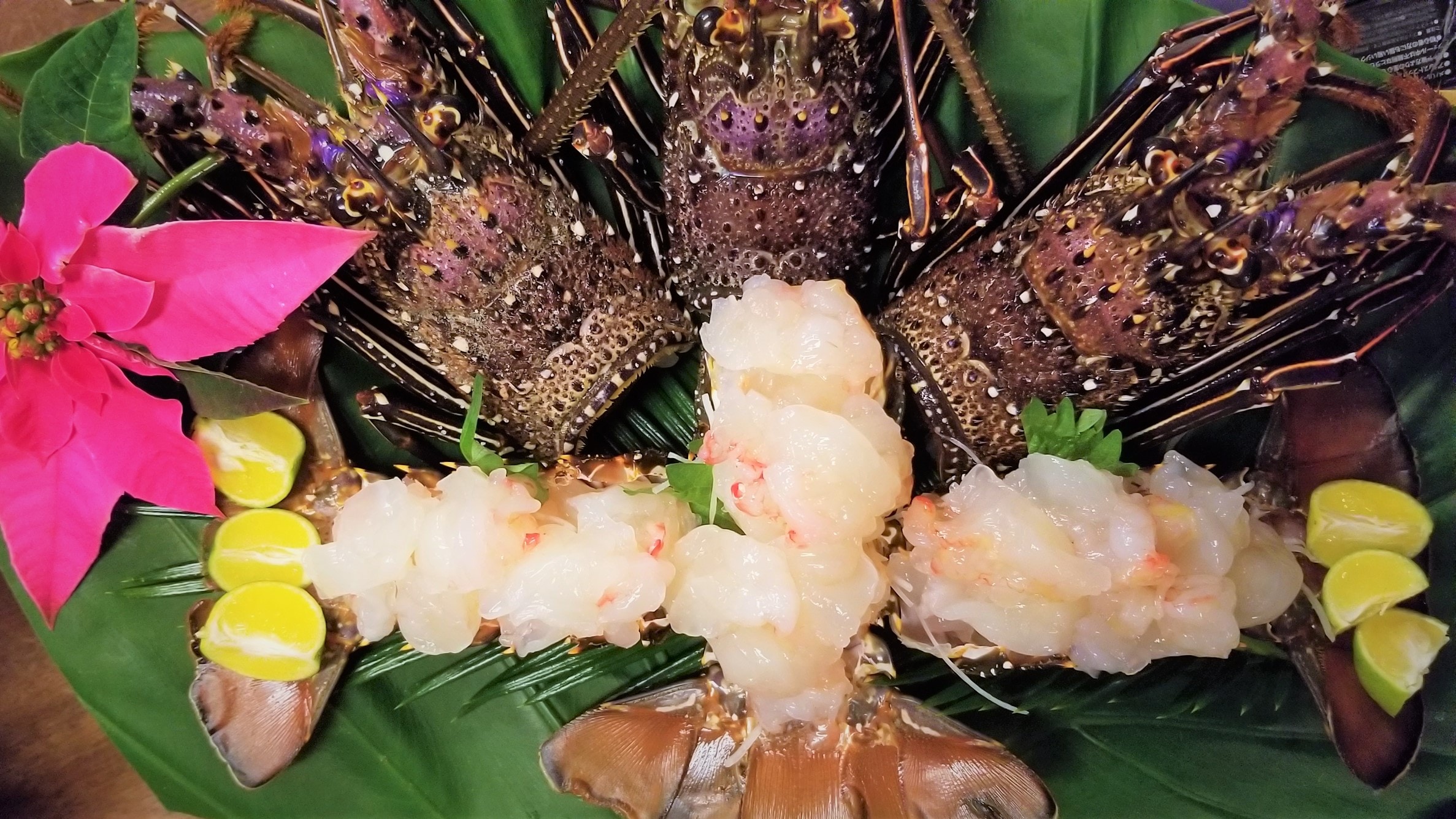 Lobster sashimi