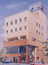 รูปลักษณ์ภายนอกของภาพ