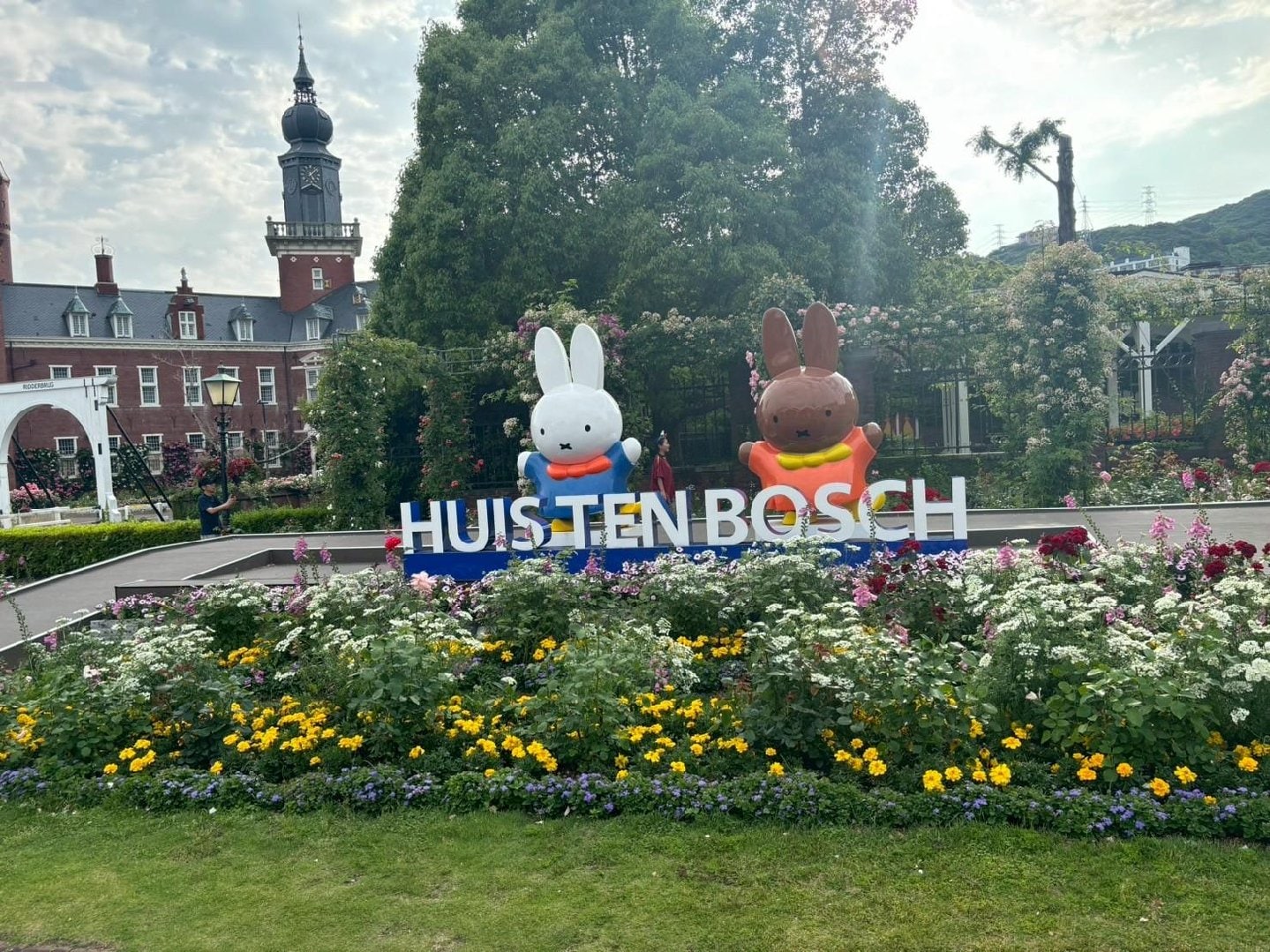 3135.jpg
