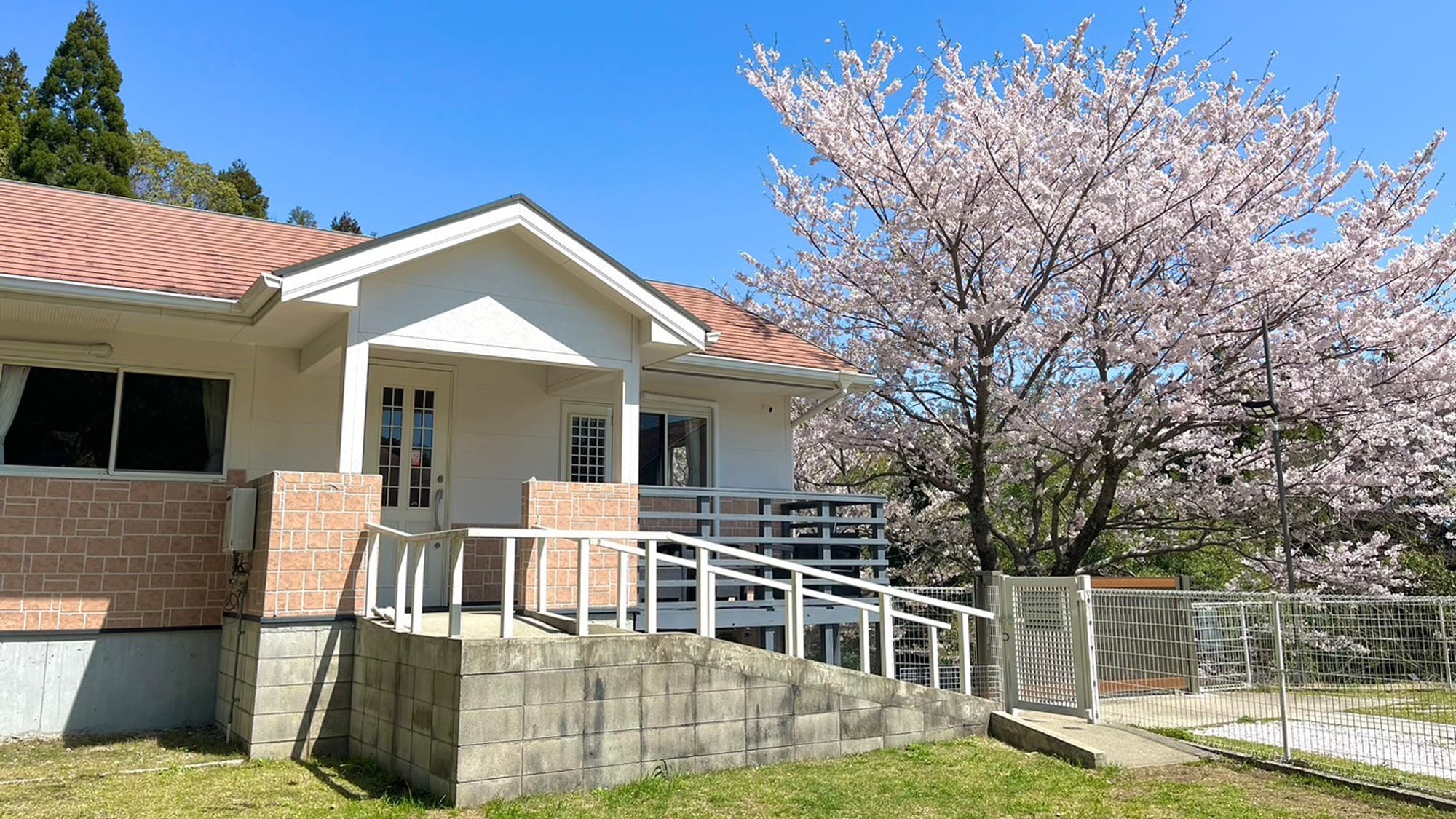 [Sakura Terrace]