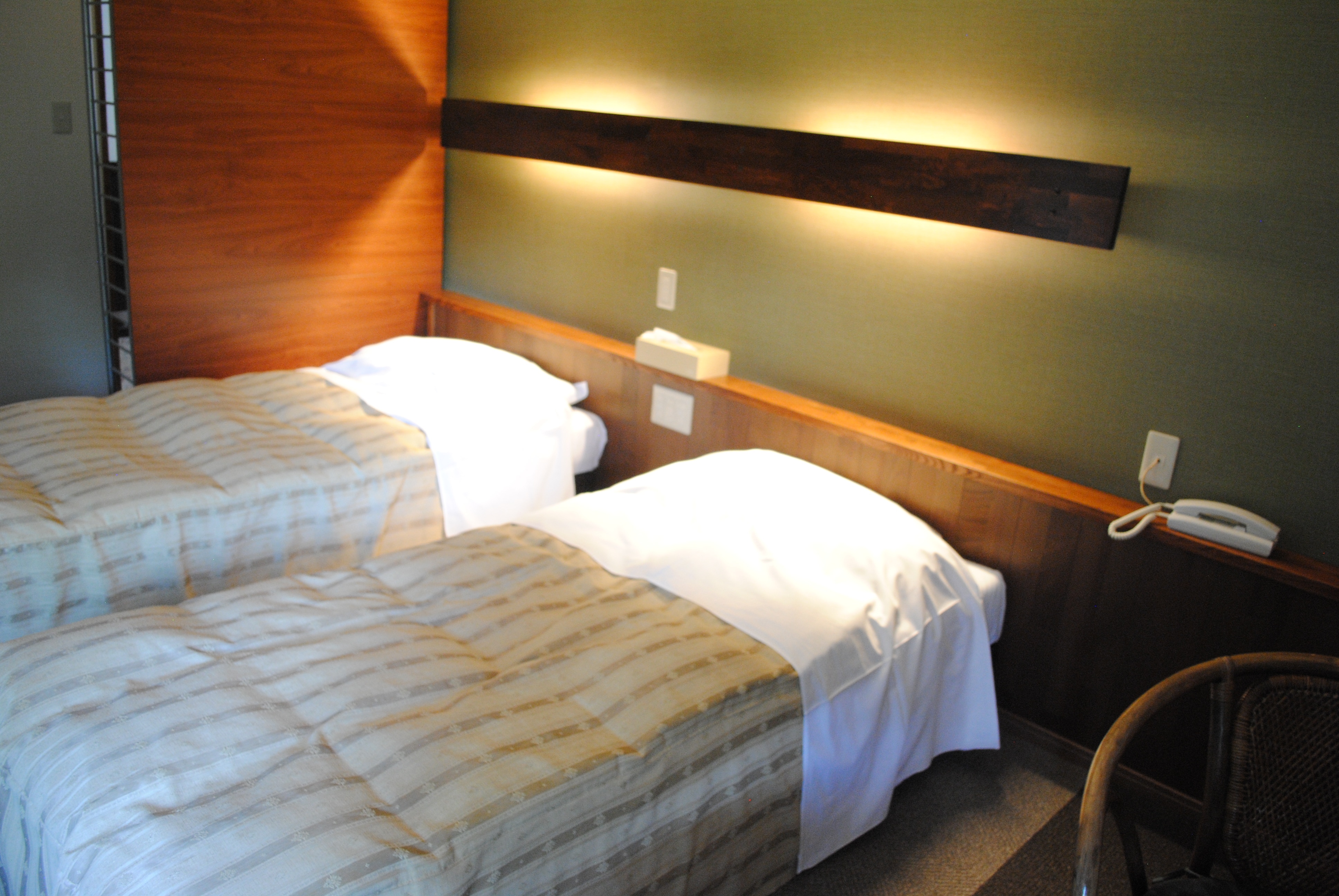 Relaxing Western-style room