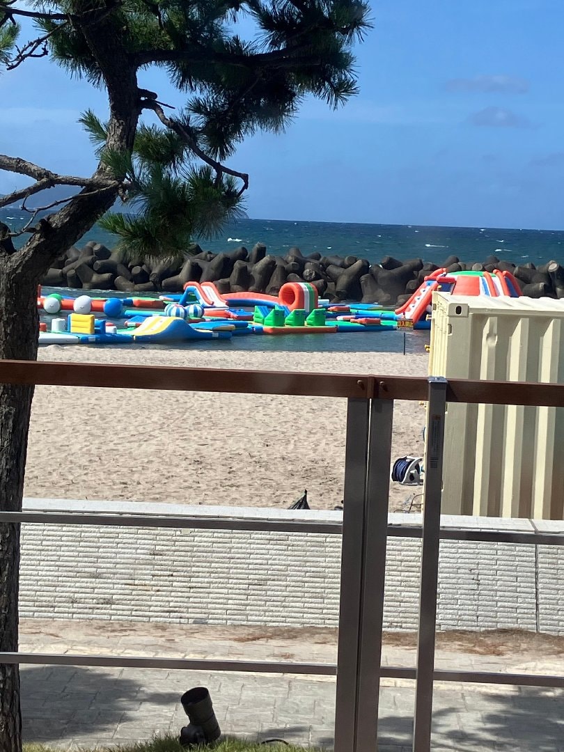 IMG_8395.jpeg