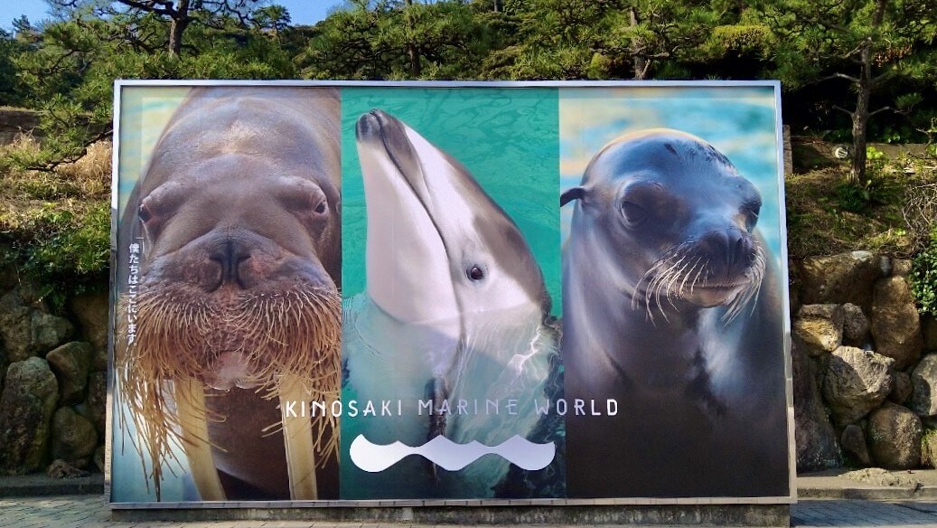 [Kinosaki Marine World] Sekitar 6 menit dengan mobil