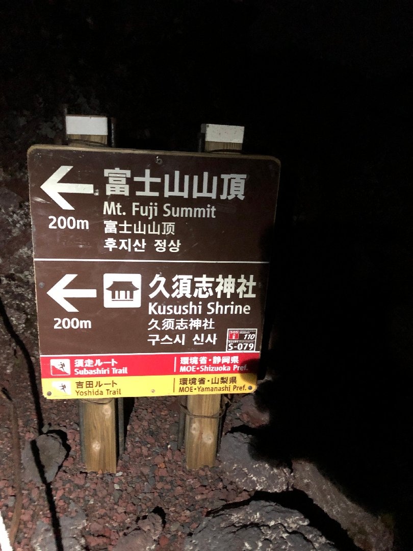 IMG_8449.jpeg