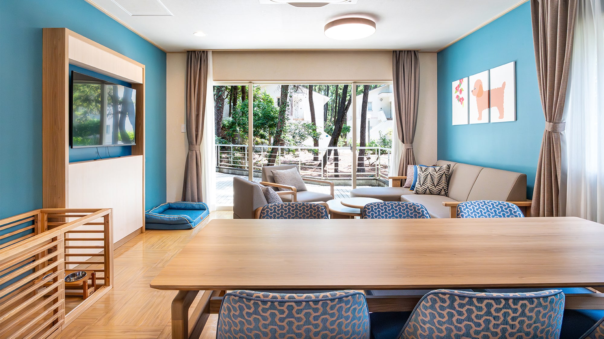 Dog-friendly room