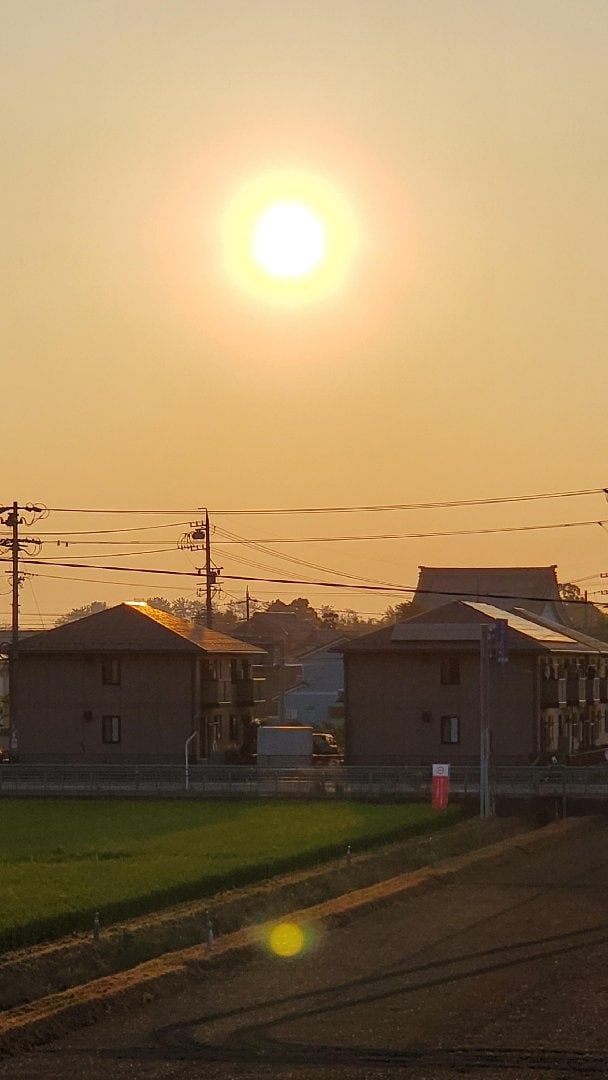 20260721_053513.jpg