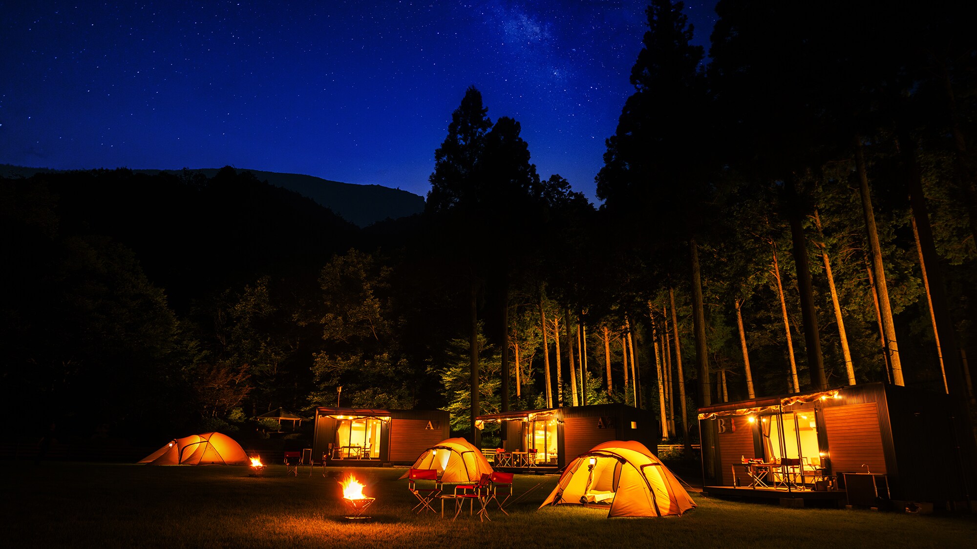 "Under the quiet night sky where the stars shine, the light of the bonfire flickers, creating an elegant moment."