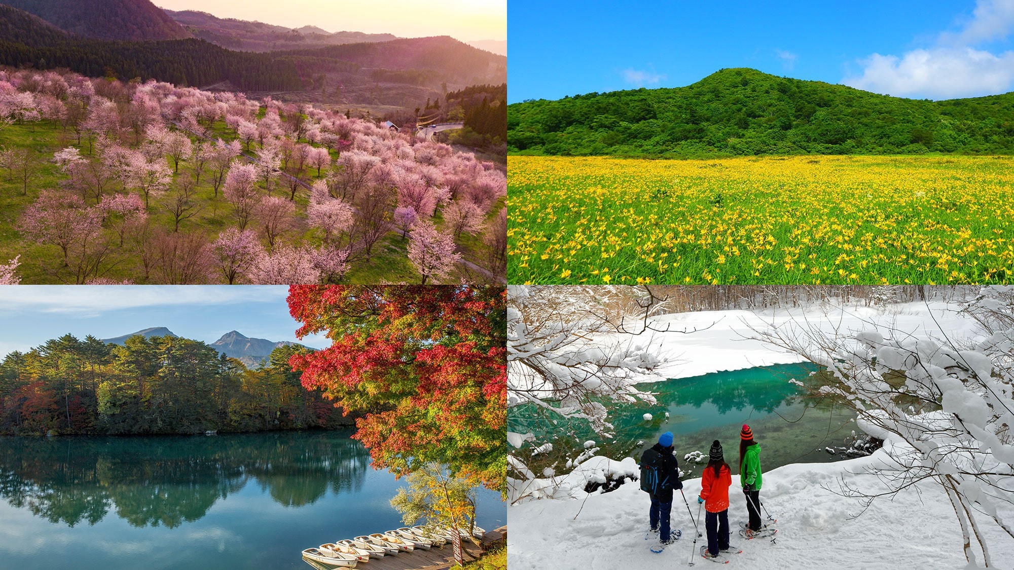 <โปรแกรมในห้องสมุด> [บอกฉันสิ! อุระบันได: พบกับการเปลี่ยนแปลงของฤดูกาลและเสน่ห์ของอุระบันได