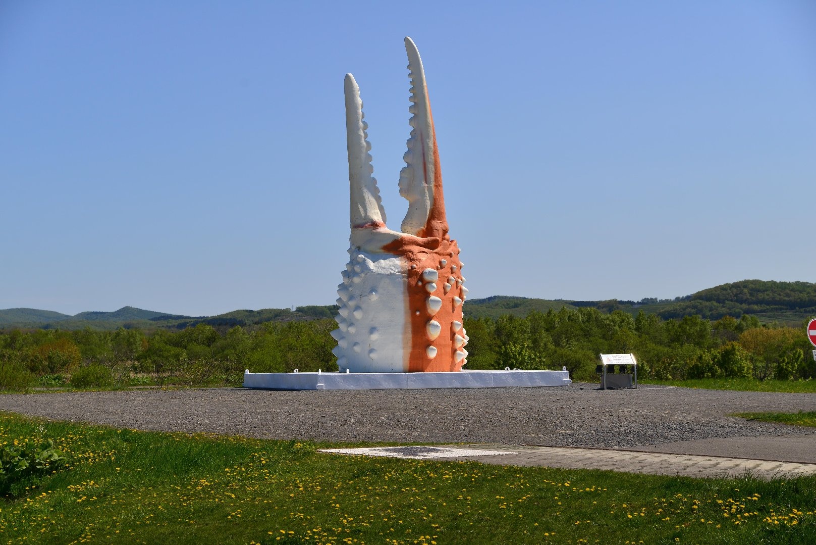 DSC_3021.JPG