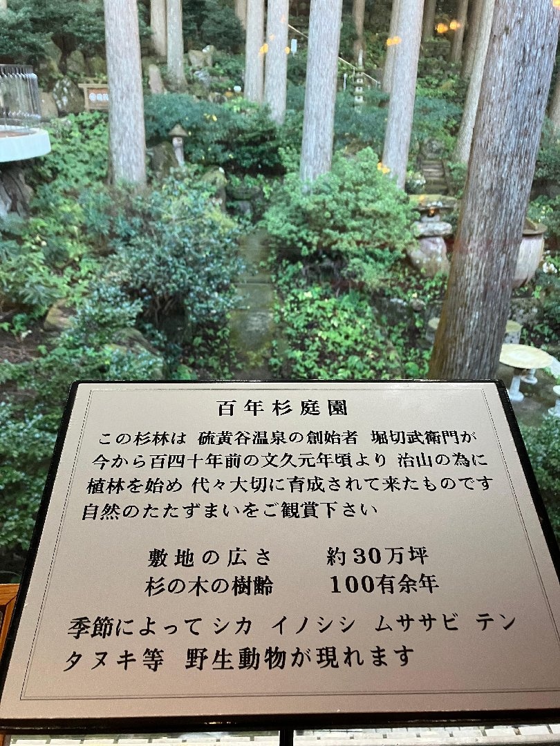 IMG_9354.jpeg