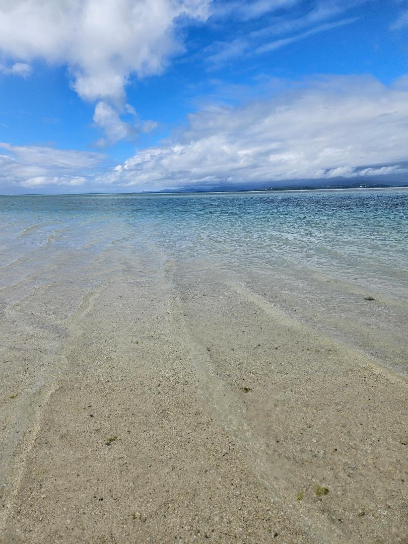 民宿 内盛荘＜竹富島＞ に実際に泊まった方のクチコミ ・レビュー【楽天トラベル】