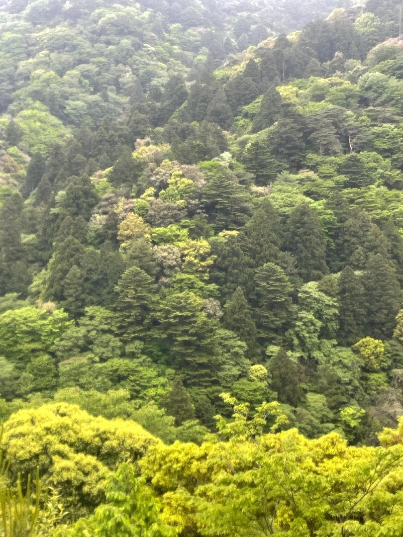 AC055017-2FCE-4119-90AF-5F43DC745202.jpeg