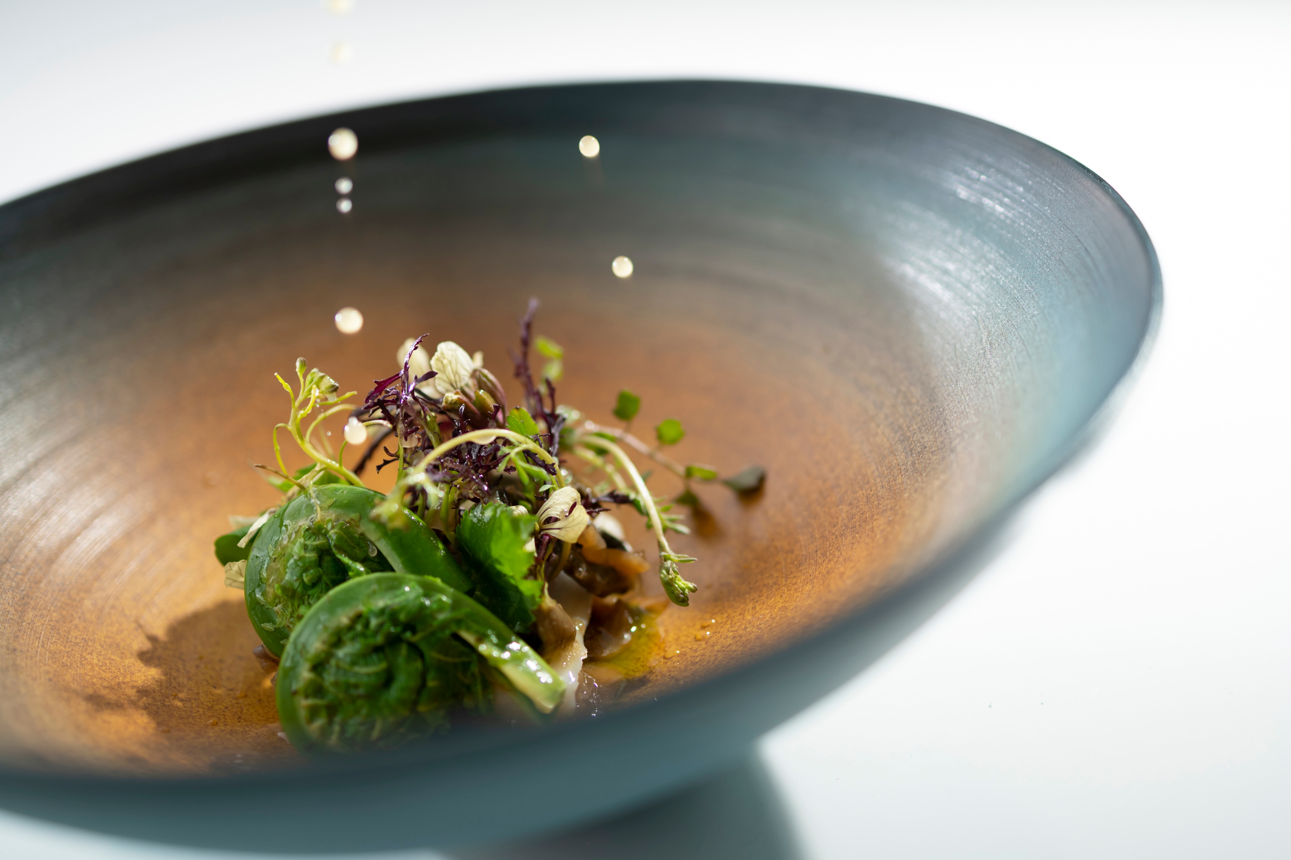 "Tresonnier" dish image