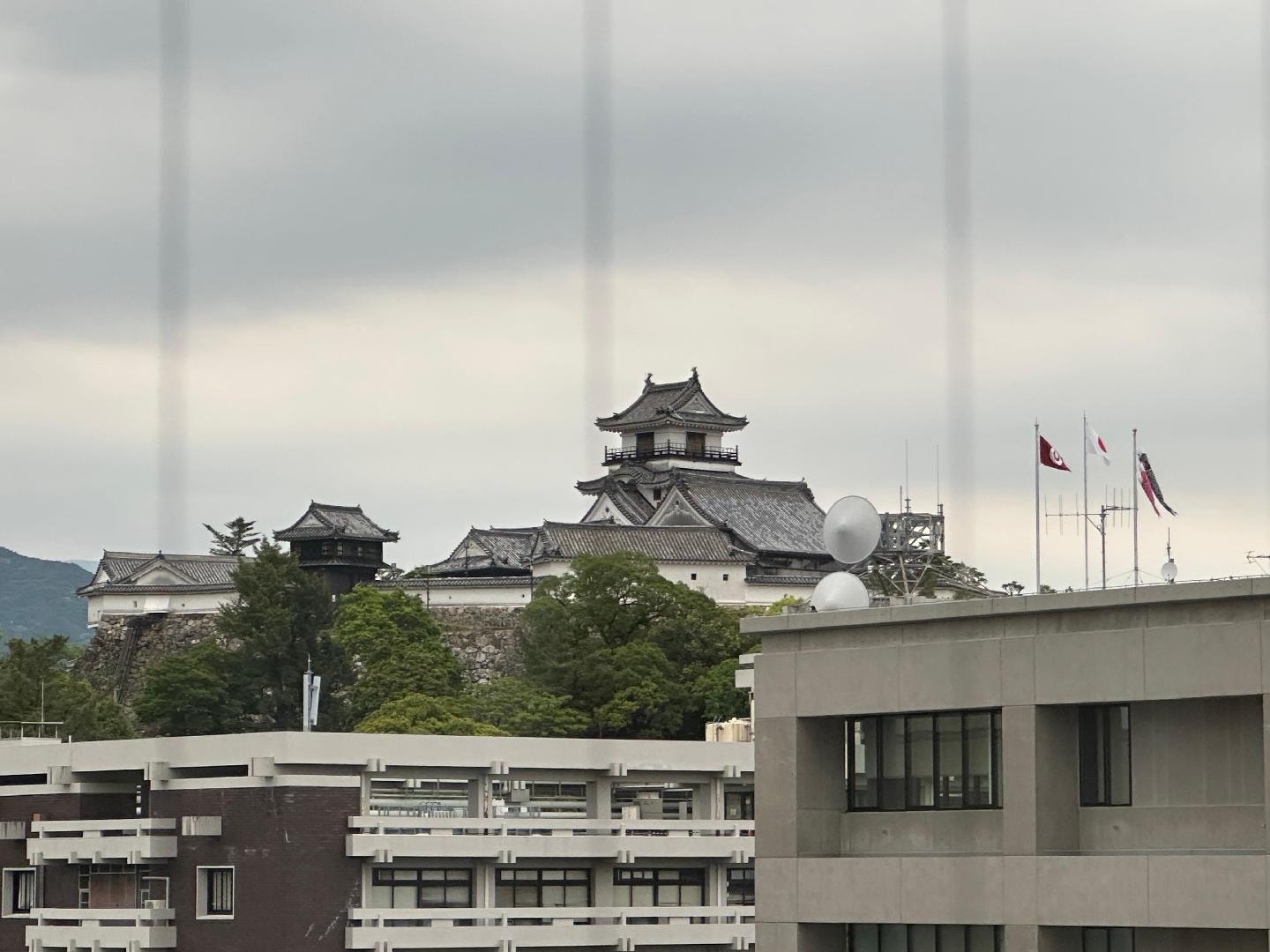 F156B274-5645-4297-AC94-3FBE4D4756C2.jpeg