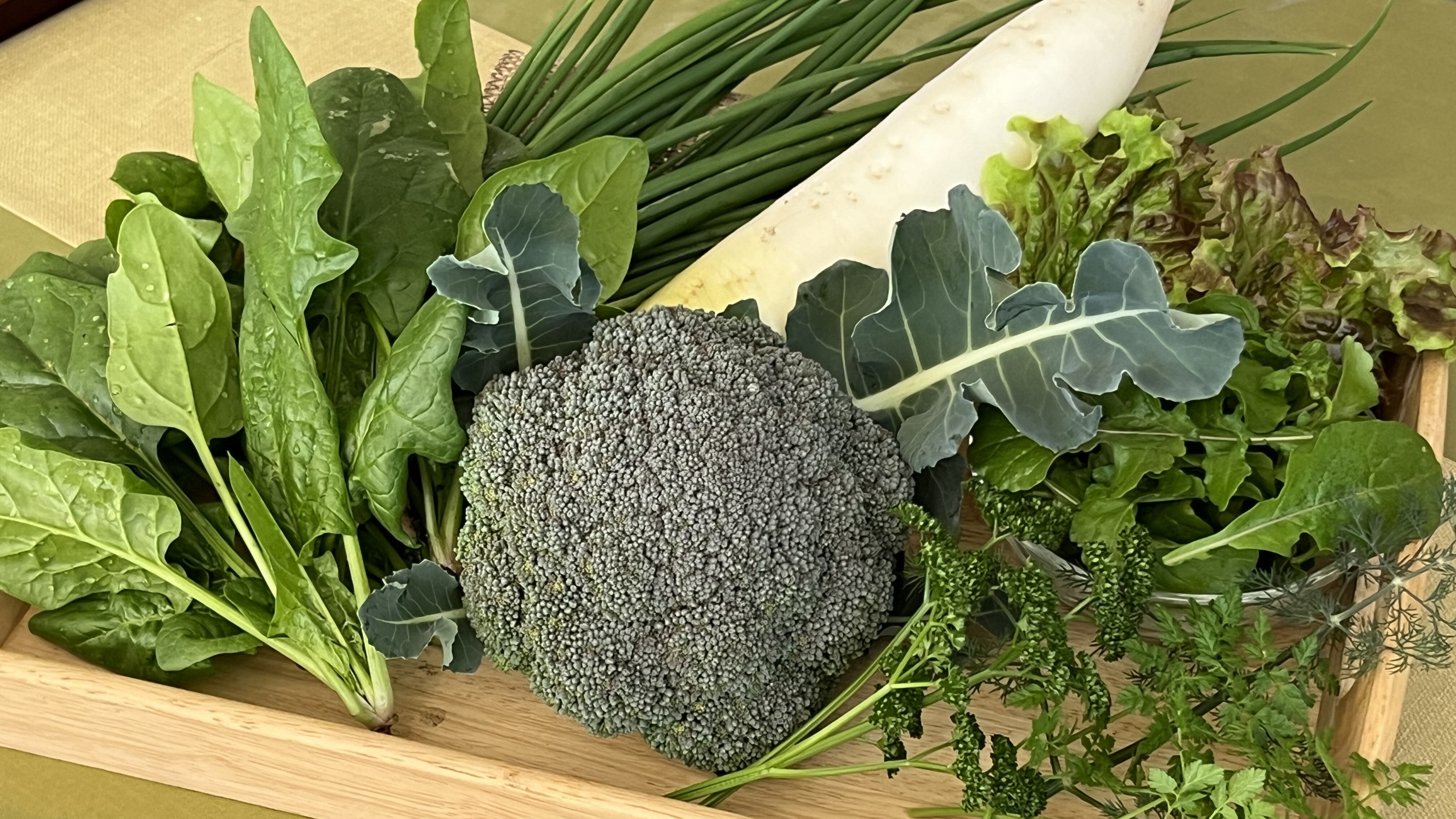 Freshly picked vegetables from our own garden