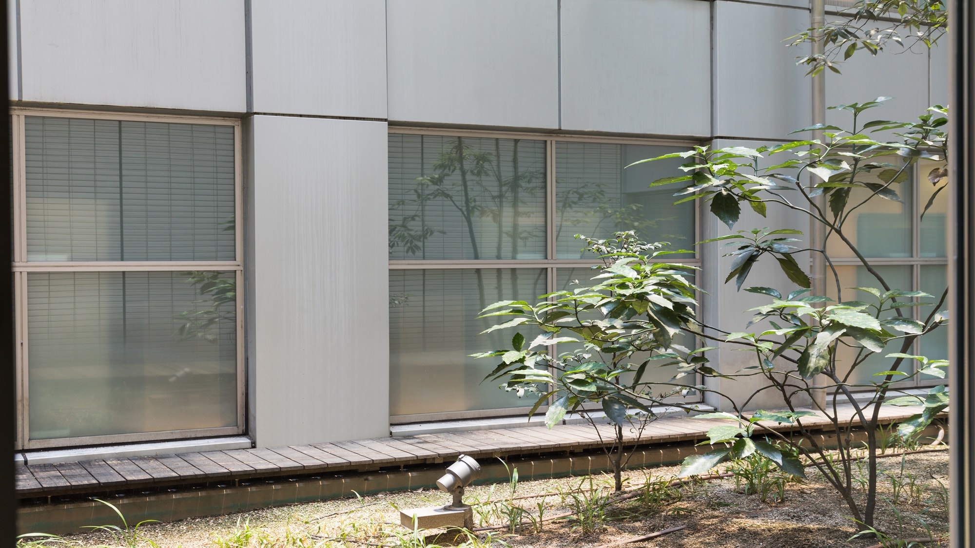 Image of planting surface