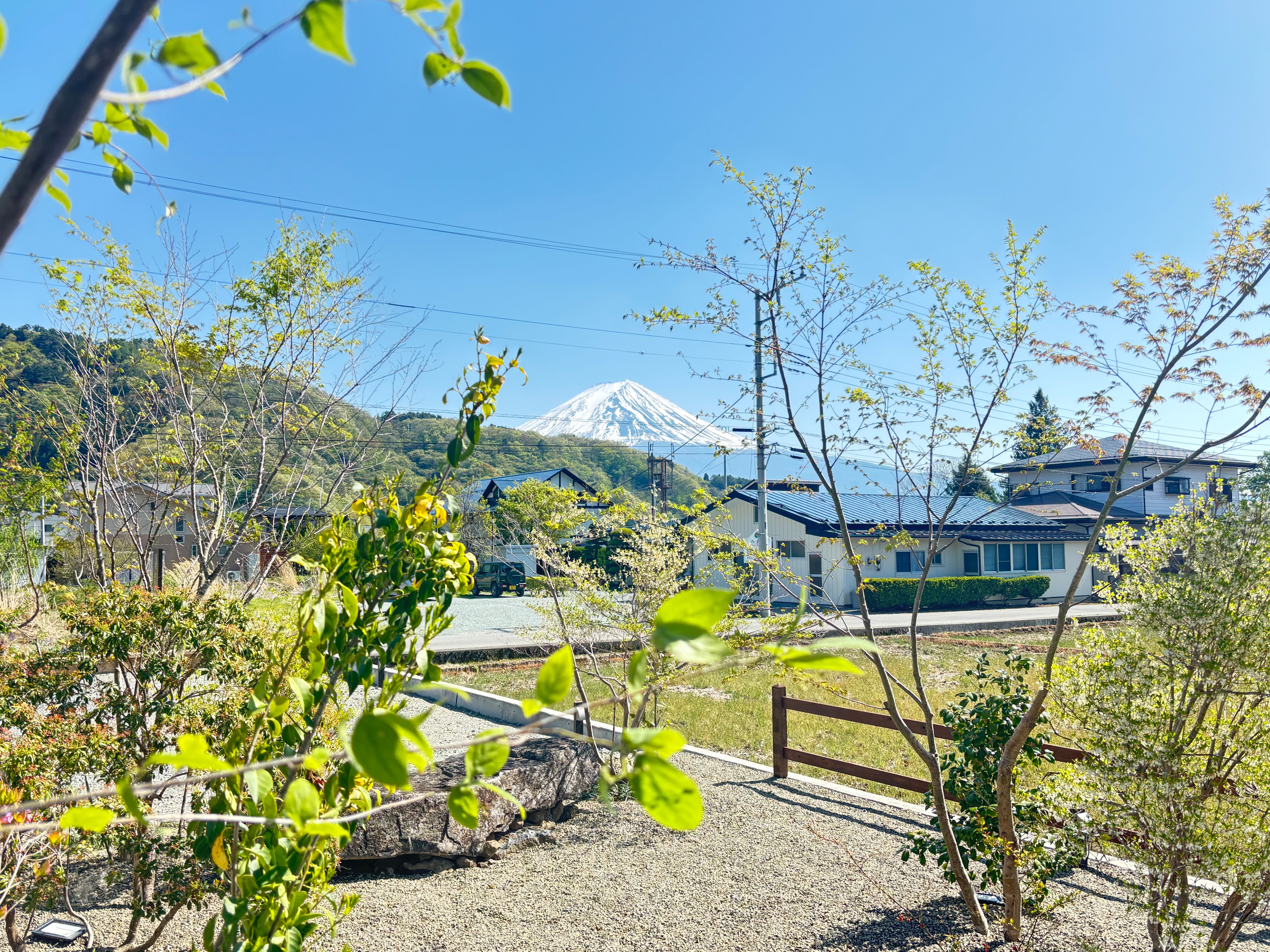 Appearance Mt. Fuji TOP