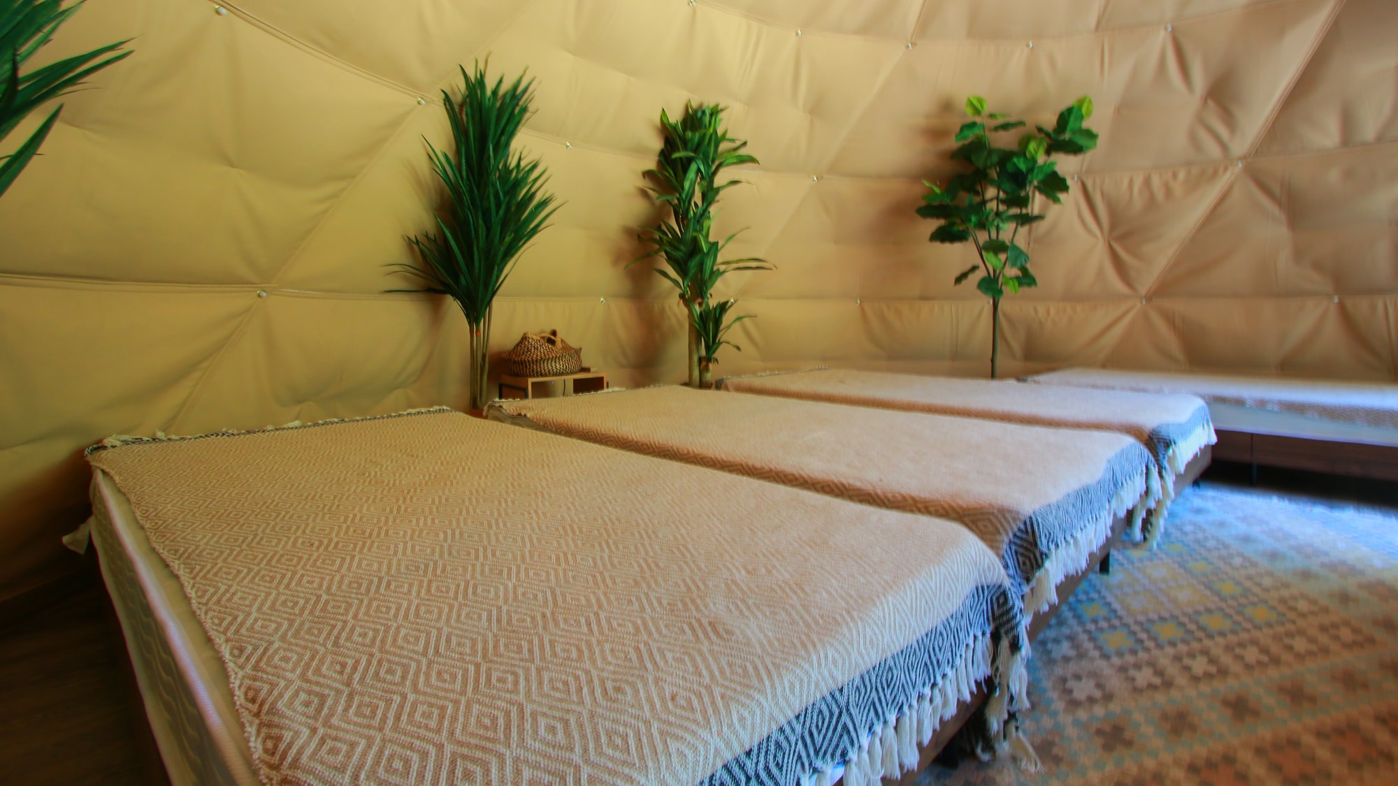 Dome Tent