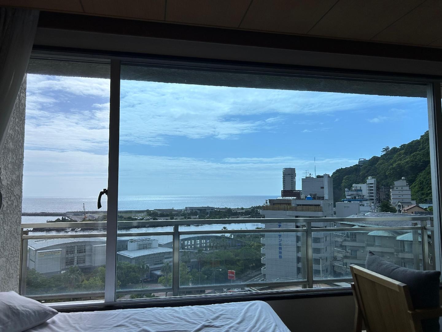 IMG_2987.jpeg