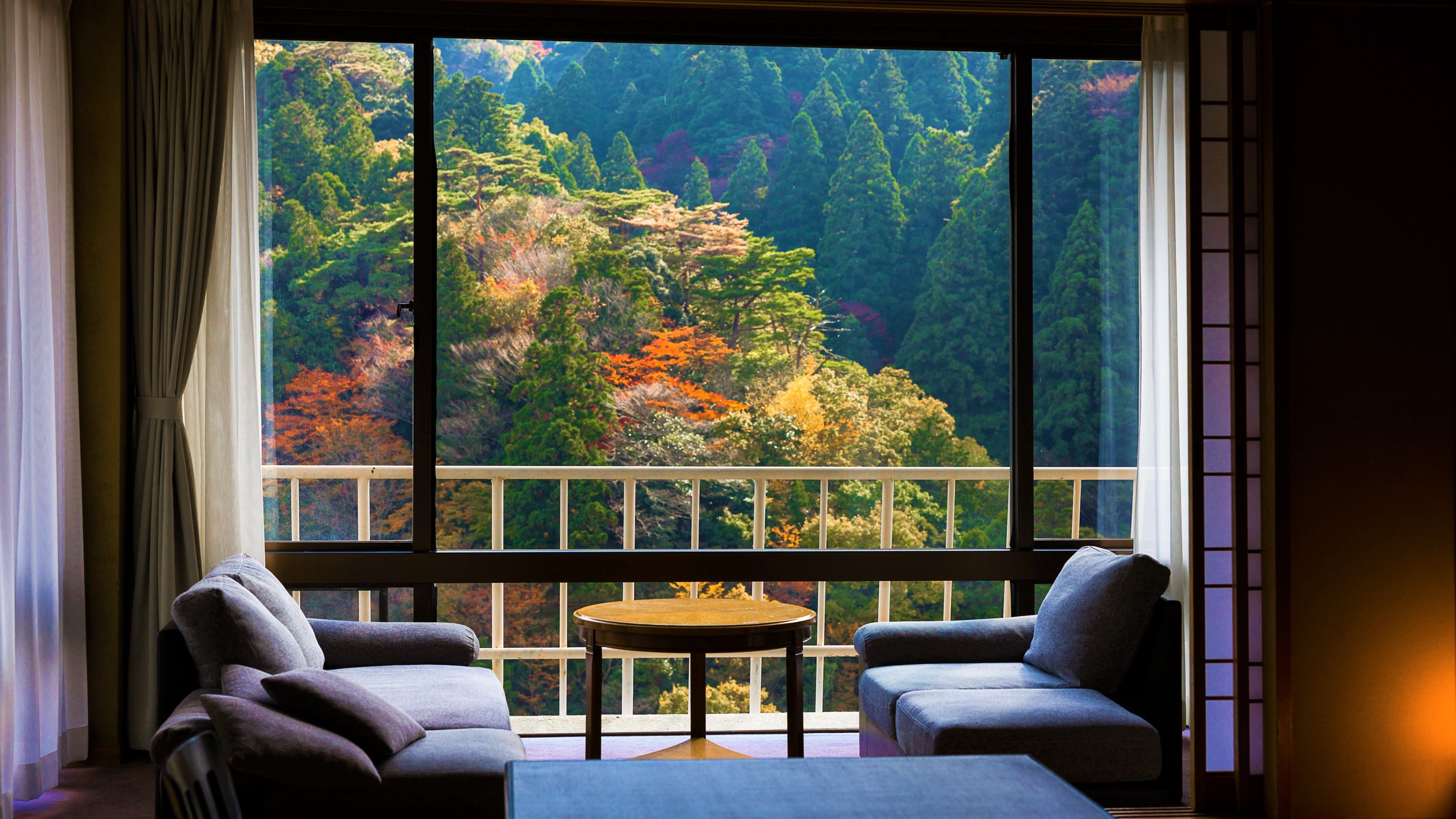 [View from the room] Mountain scenery surrounded by greenery
