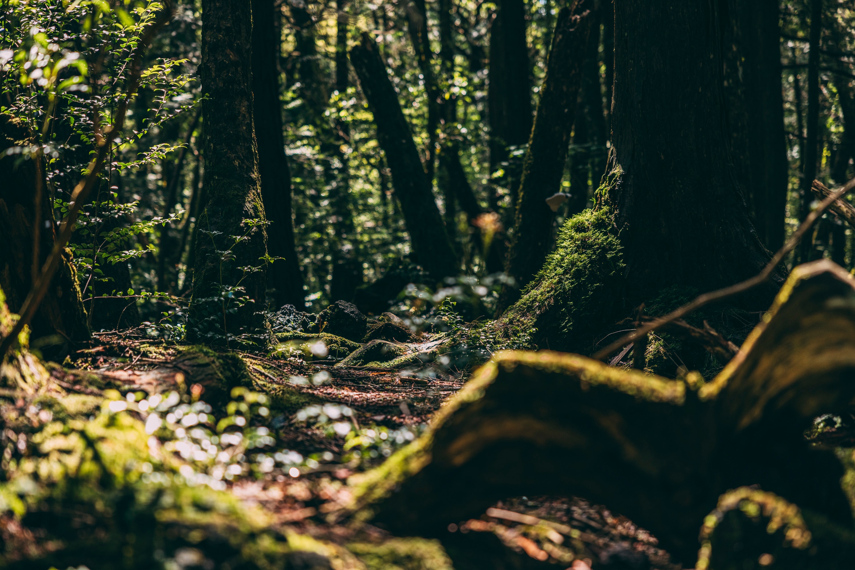 2024_โรงแรม TOP_0001