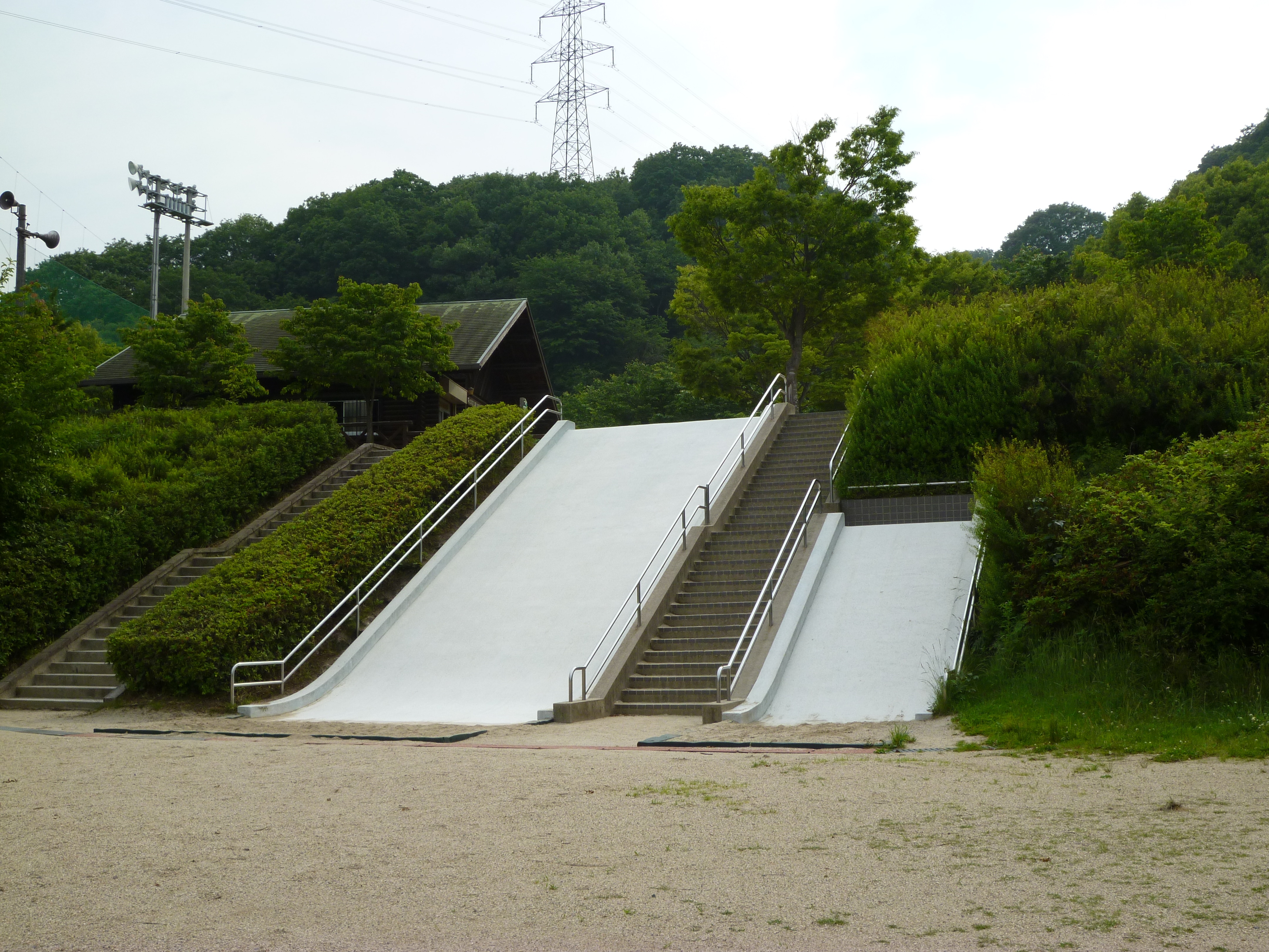 Forest Treasure Island Slide