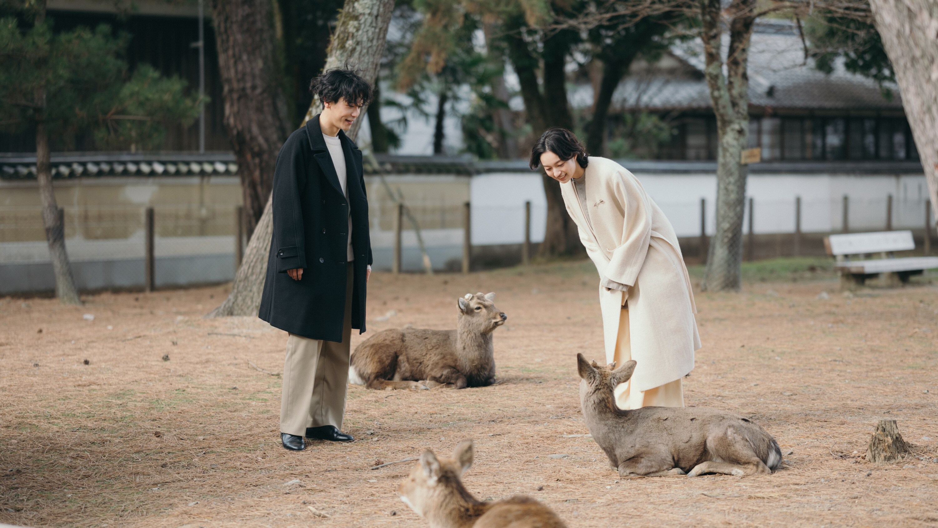 Experience Nara and blend into Nara
