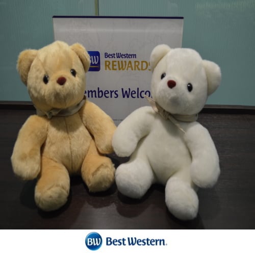 Welcome to Best Western Osaka Tsukamoto!