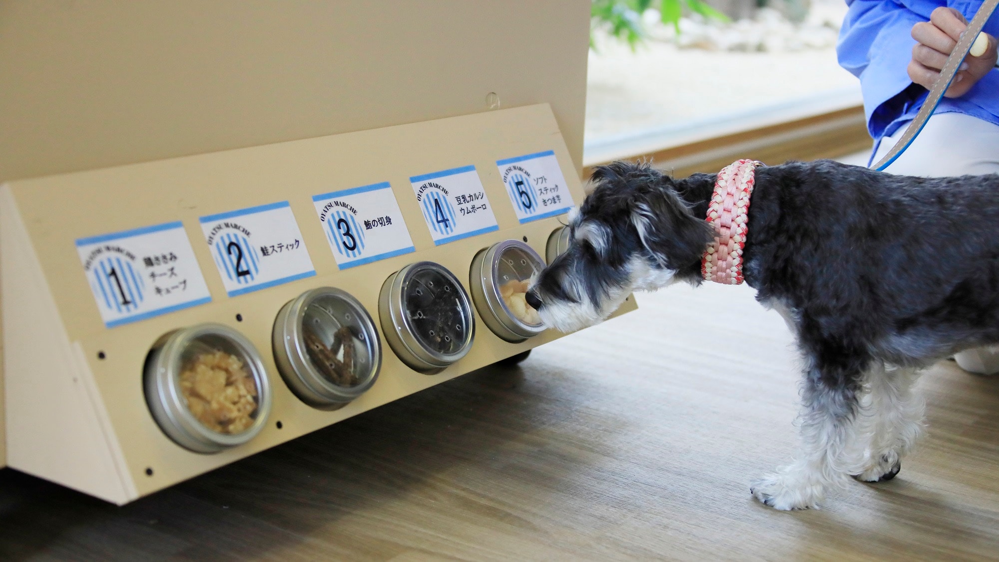 [Snack cart] It has a window where your dog can smell the treats. (Example)