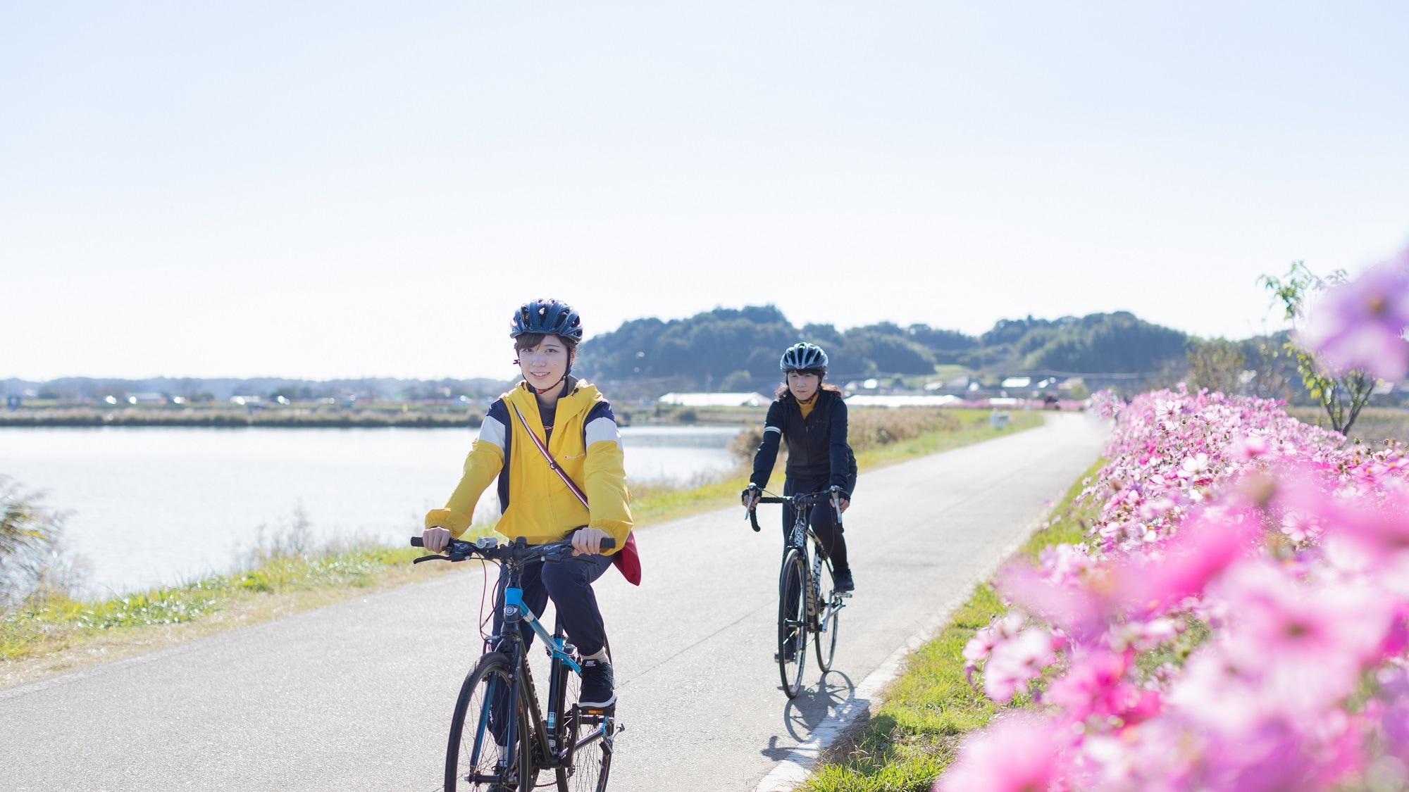 Cycling image