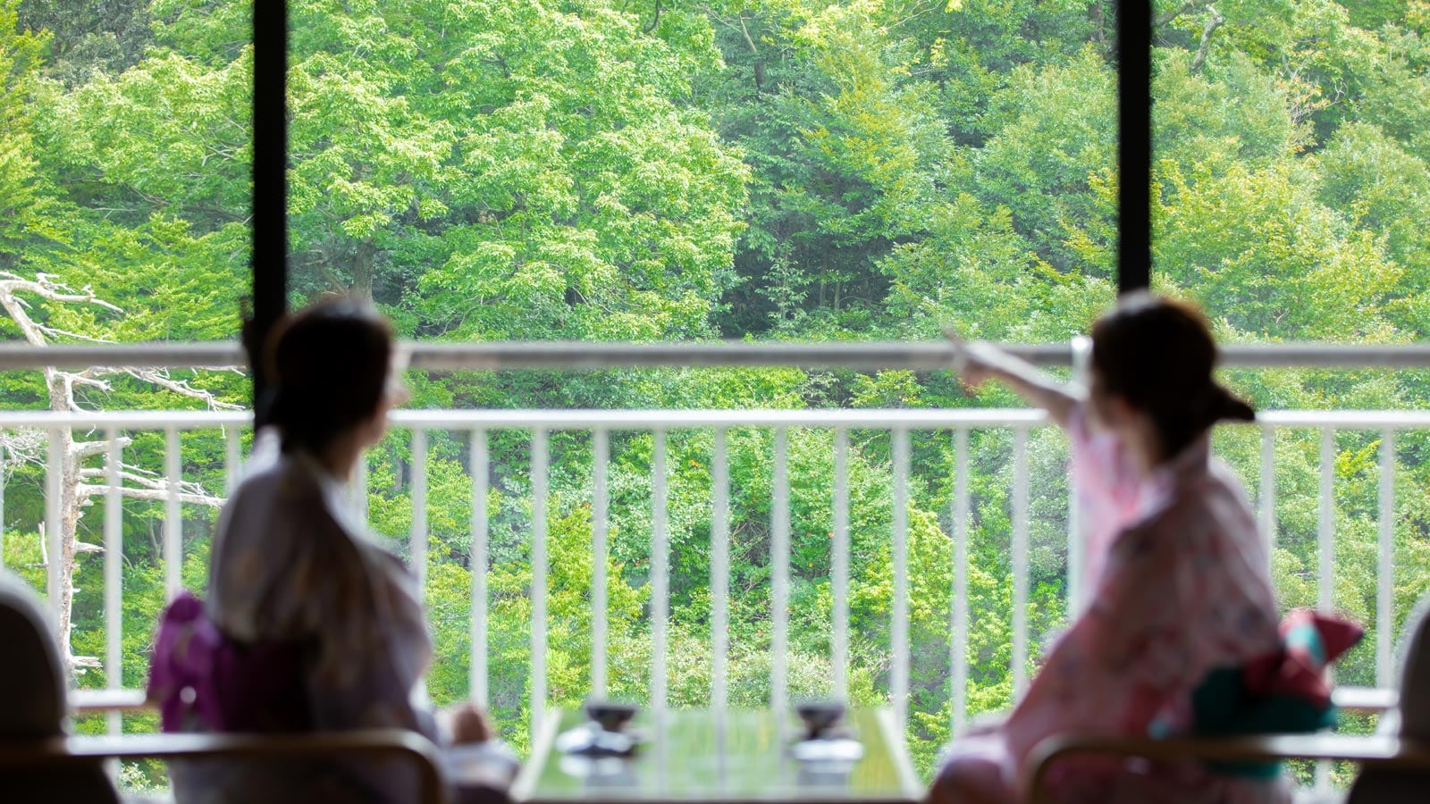 -Pure Japanese-style guest room facing Kakusenkei-View of the Daishoji River and mountain trees in the guest room facing the river