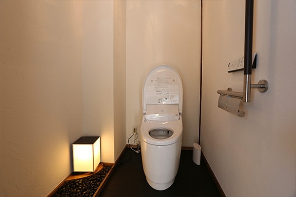 Room 401: Toilet in guest room with shower