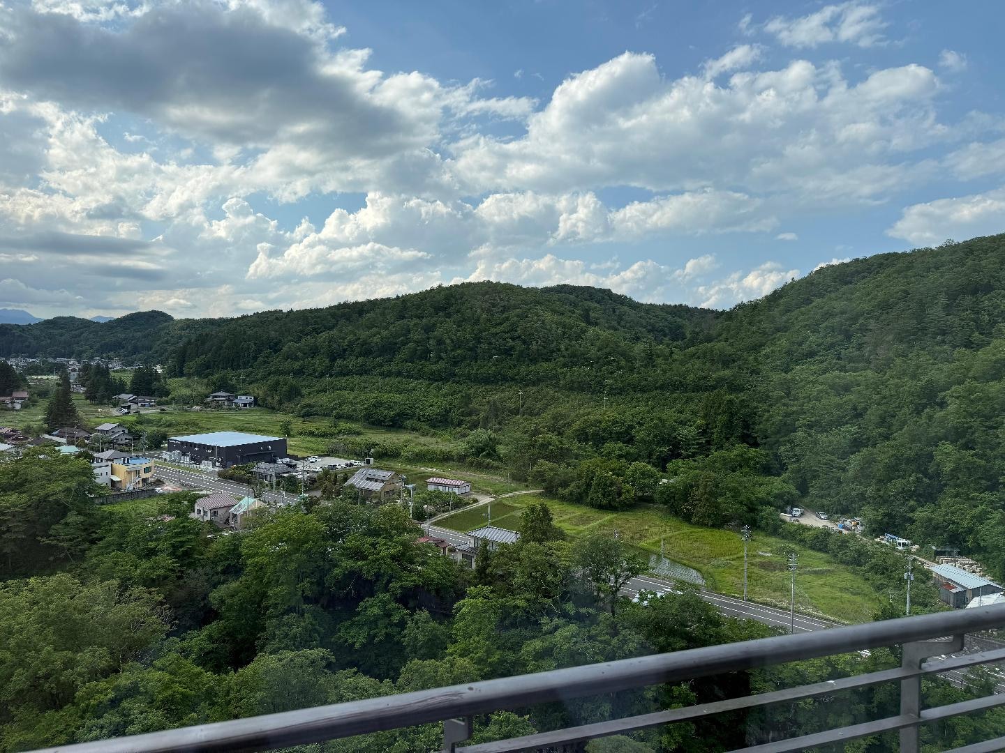 IMG_3341.jpeg