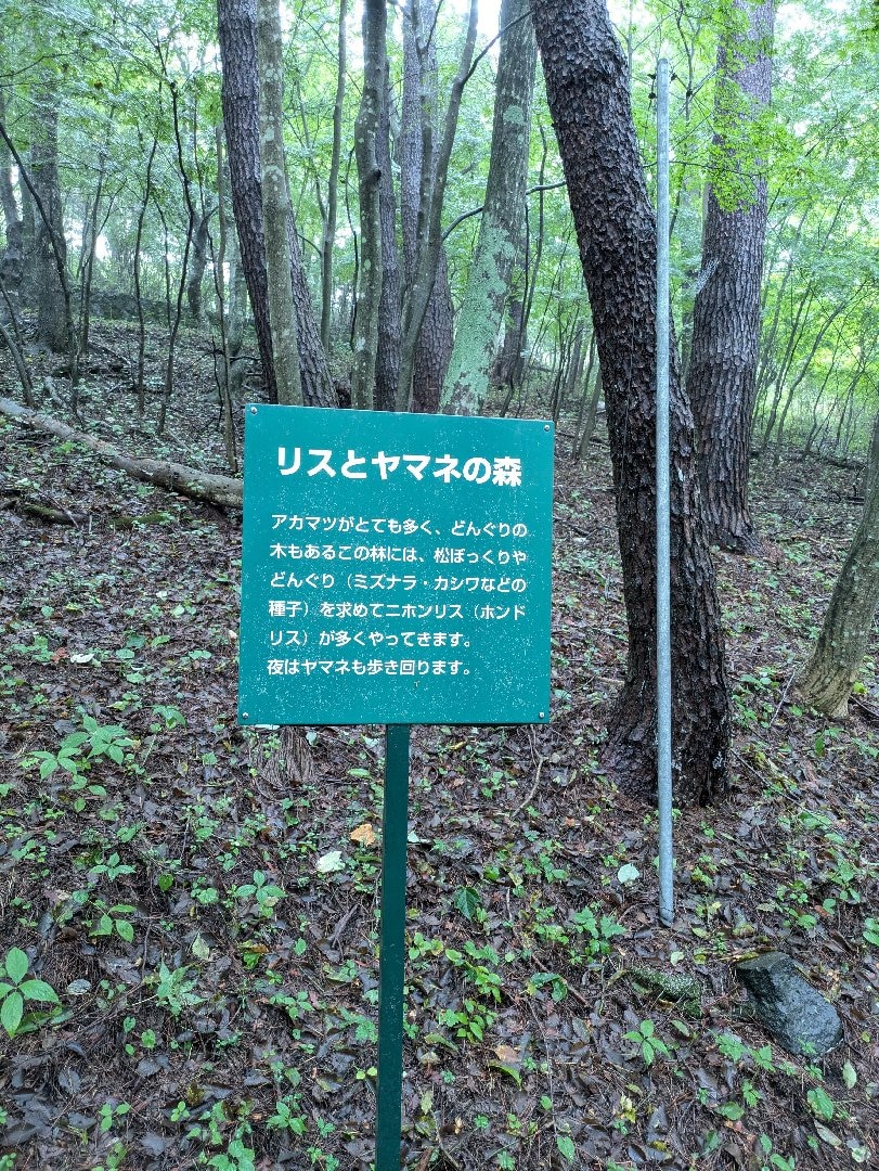 1000008626.jpg