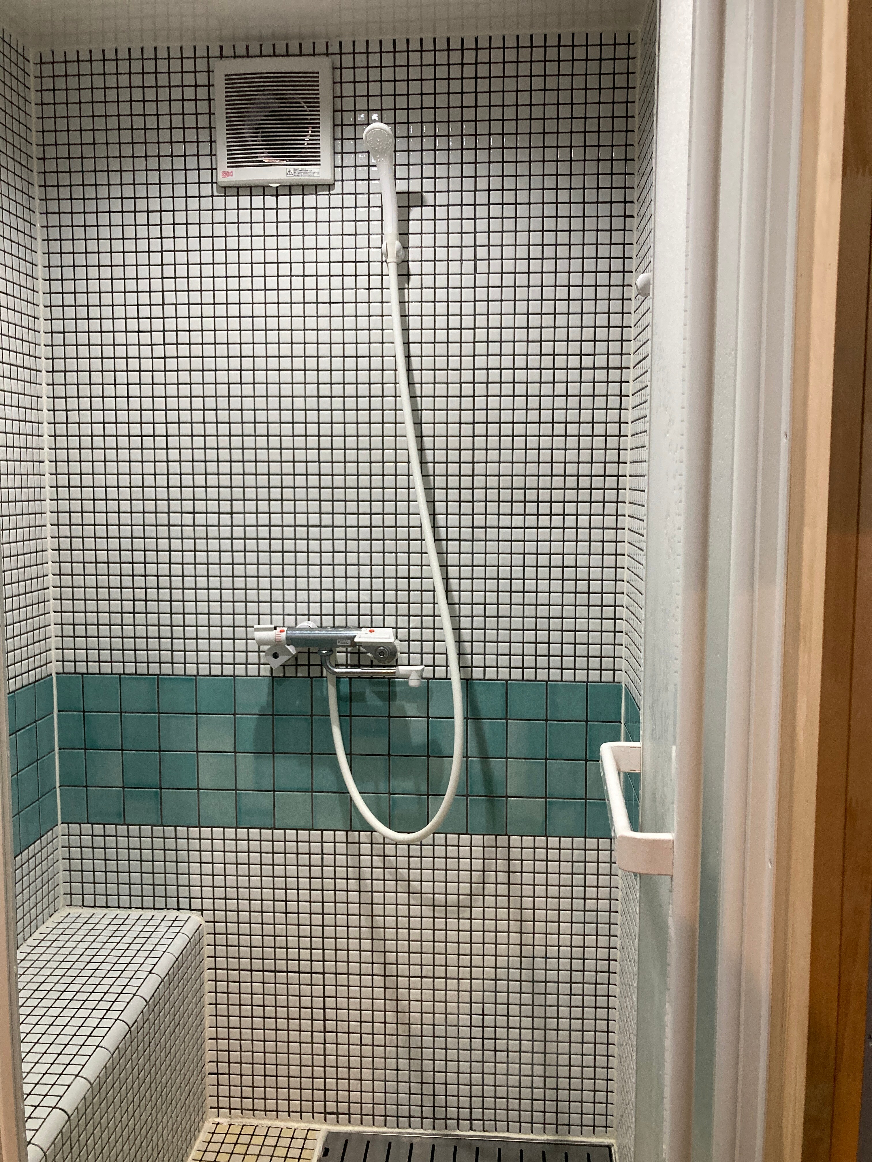 Renovated in 2022 Shower room with full mosaic tiles