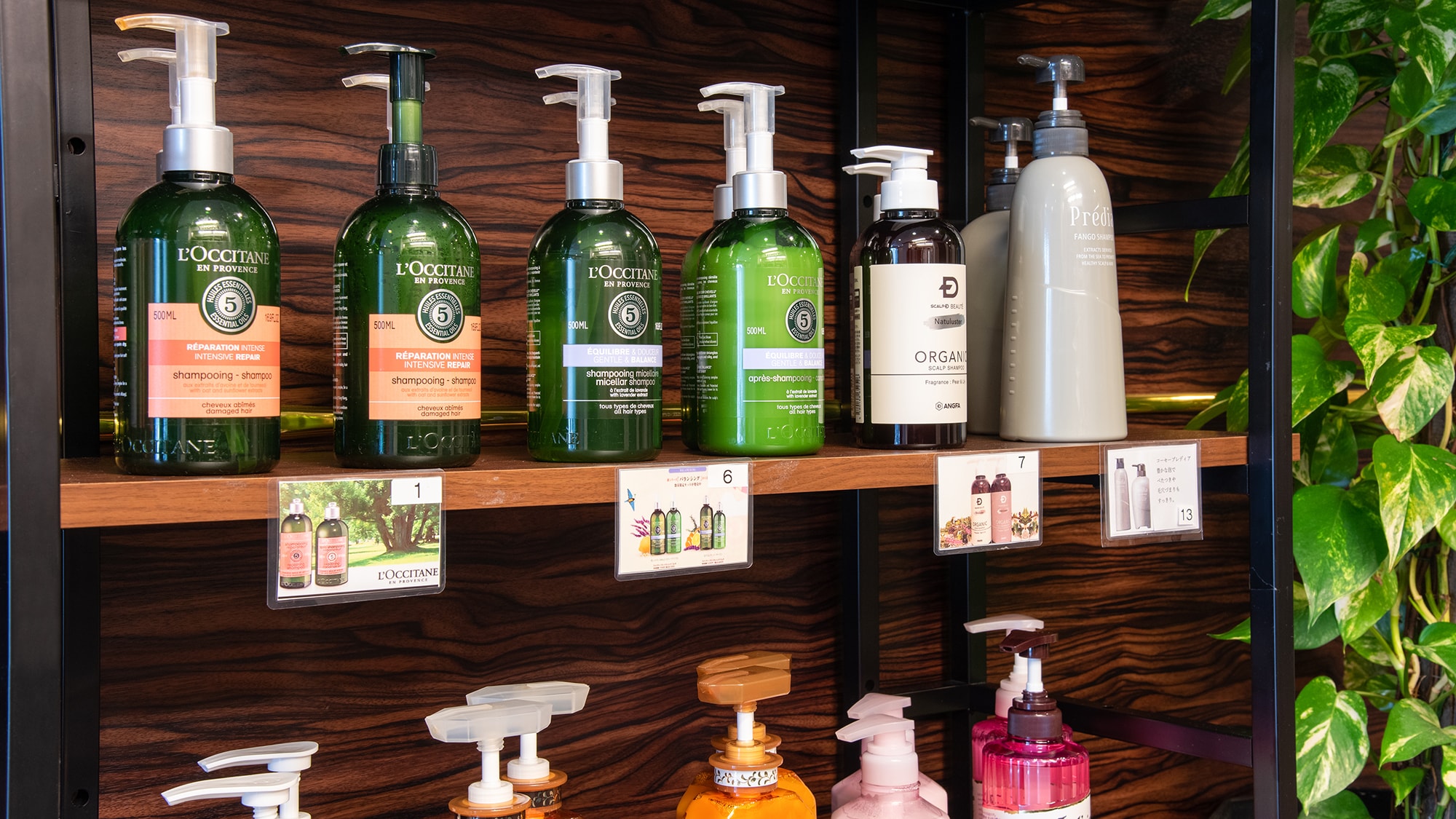 Popular shampoo bars: Most popular are L'Occitane and Jill Stuart