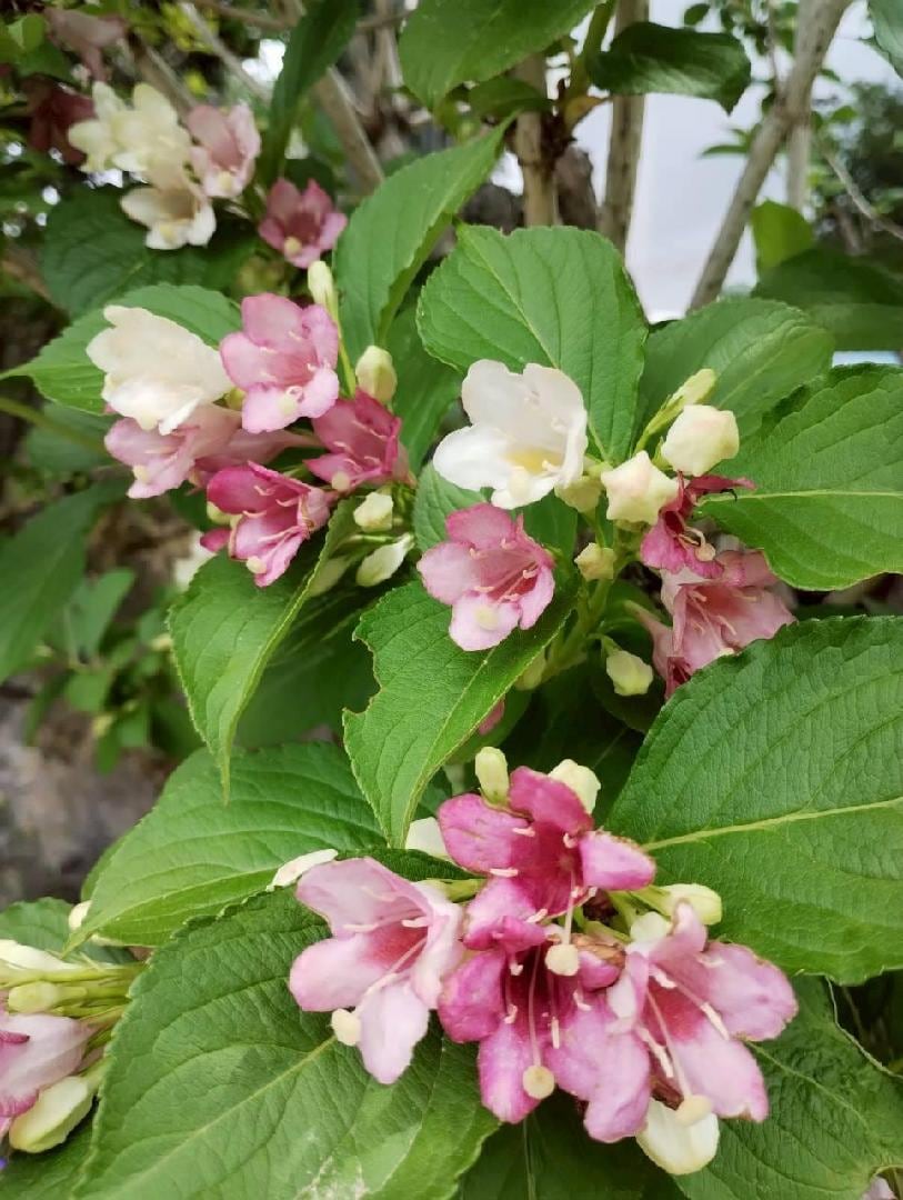 D3D73418-E2BC-4A8C-AEBE-F3758F60CB88.jpeg