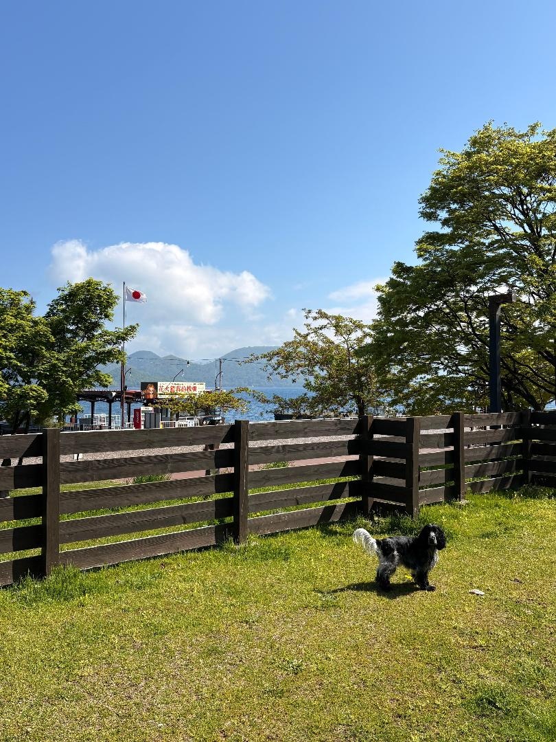 535C4BBE-B3AC-478B-A227-41088BE3DB26.jpeg