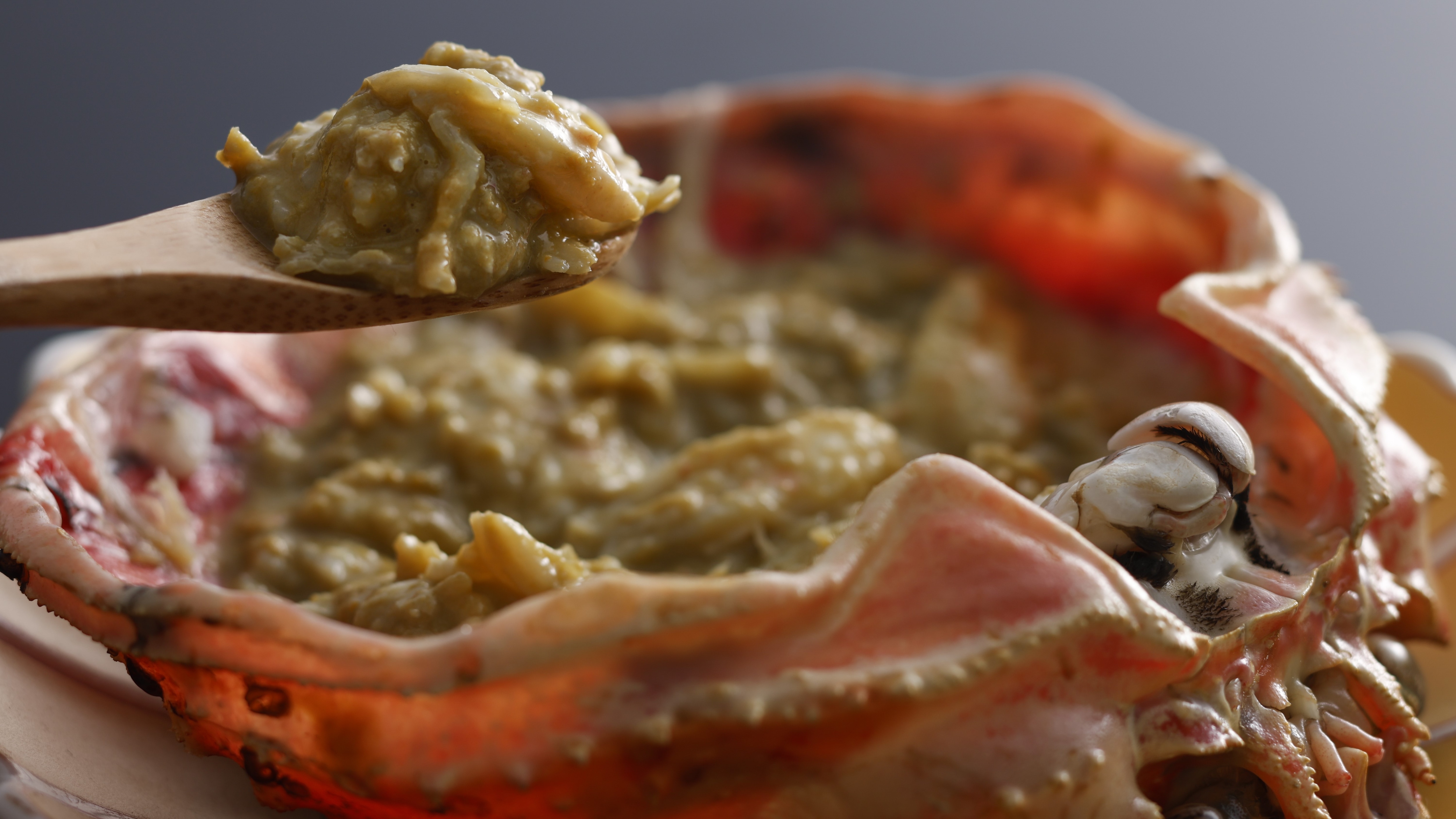 [Winter Cuisine] Enjoy the deliciousness of live Matsuba crab with its rich grilled shell miso!