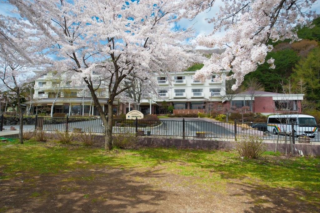 [外觀] 春天