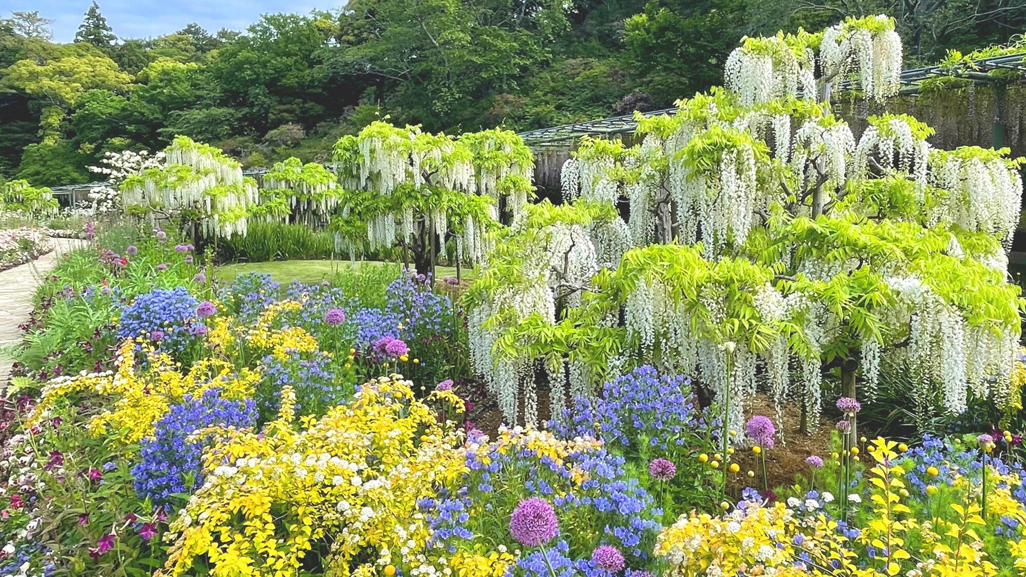 [Hamamatsu Flower Park]