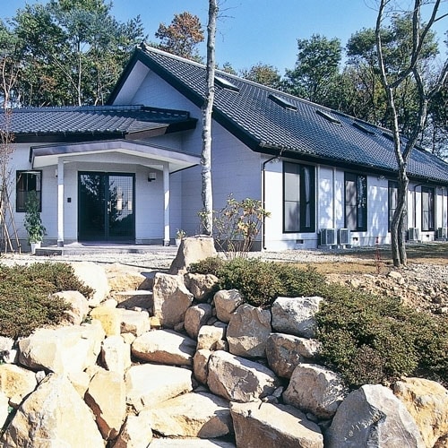 Appearance image